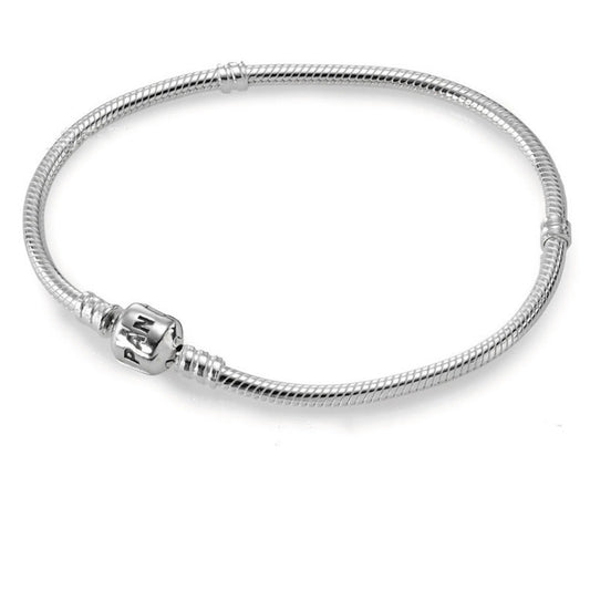 Pandora brand DIY Charm Bracelets